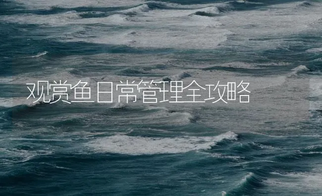 观赏鱼日常管理全攻略 | 海水养殖技术