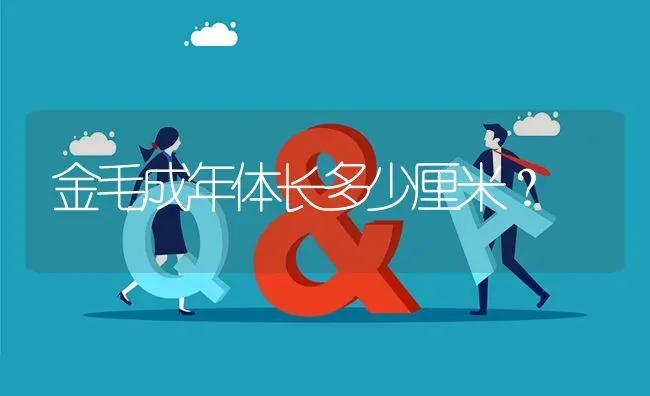 以色列沙皮狗多少钱一只？寿命多久？ | 动物养殖问答