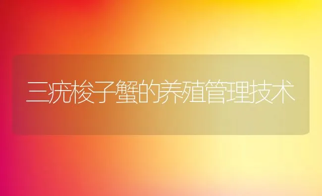 三疣梭子蟹的养殖管理技术 | 动物养殖饲料