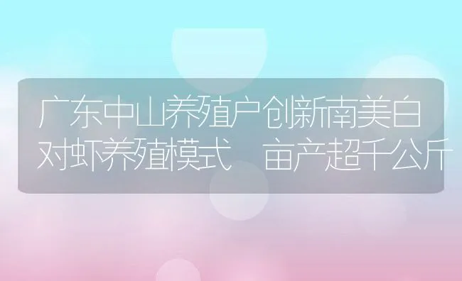 广东中山养殖户创新南美白对虾养殖模式 亩产超千公斤 | 动物养殖饲料