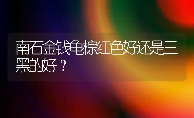 狗狗可以一直吃饭吗，还是只喂狗粮？ | 动物养殖问答