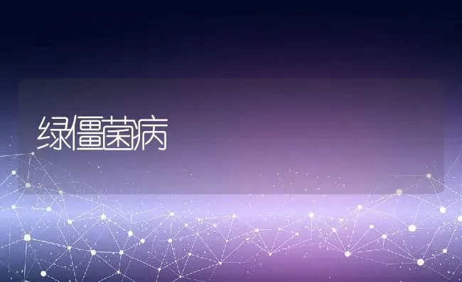 绿僵菌病 | 动物养殖教程