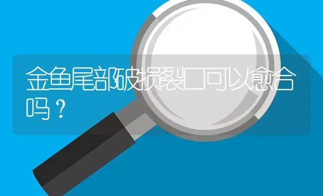 金鱼尾部破损裂口可以愈合吗？ | 鱼类宠物饲养