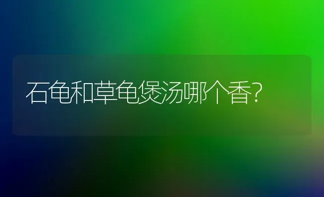 石龟和草龟煲汤哪个香？ | 动物养殖问答