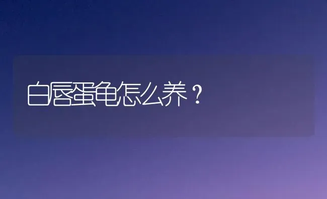 白唇蛋龟怎么养？ | 动物养殖问答