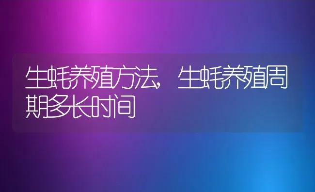 生蚝养殖方法,生蚝养殖周期多长时间 | 动物养殖百科