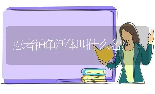 忍者神龟活体叫什么名？ | 动物养殖问答