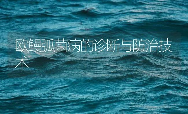 欧鳗弧菌病的诊断与防治技术 | 海水养殖技术