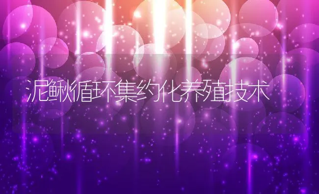 泥鳅循环集约化养殖技术 | 动物养殖饲料