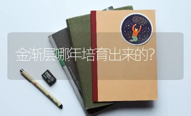 金渐层哪年培育出来的？ | 动物养殖问答