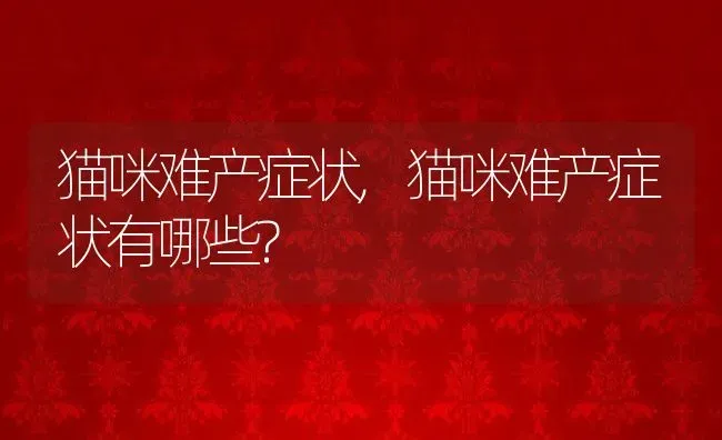 猫咪难产症状,猫咪难产症状有哪些? | 宠物百科知识