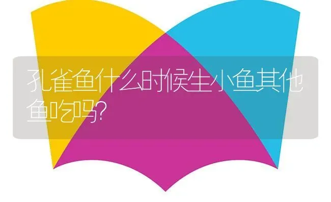 孔雀鱼什么时候生小鱼其他鱼吃吗？ | 鱼类宠物饲养