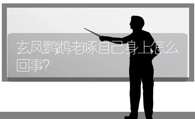 玄凤鹦鹉老啄自己身上怎么回事？ | 动物养殖问答