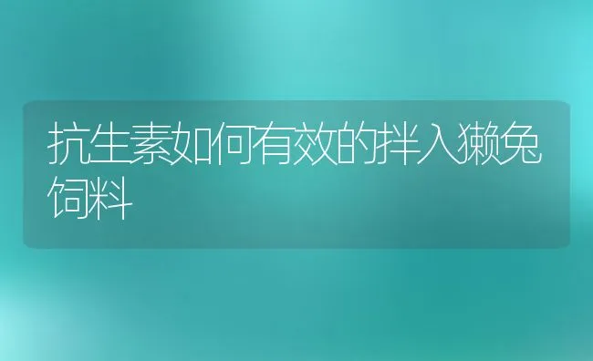 抗生素如何有效的拌入獭兔饲料 | 水产养殖知识