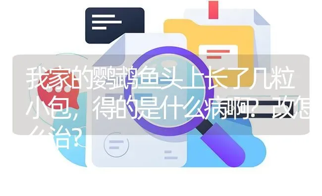 我家的鹦鹉鱼头上长了几粒小包，得的是什么病啊?改怎么治？ | 鱼类宠物饲养