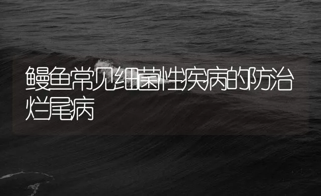 鳗鱼常见细菌性疾病的防治烂尾病 | 海水养殖技术