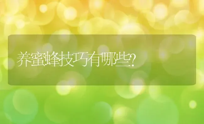 养蜜蜂技巧有哪些？ | 动物养殖百科