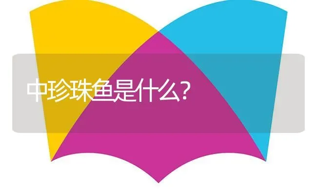 中珍珠鱼是什么？ | 鱼类宠物饲养