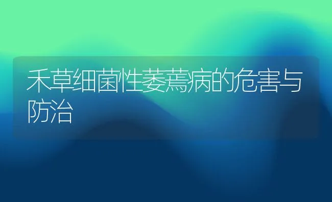 禾草细菌性萎蔫病的危害与防治 | 动物养殖学堂