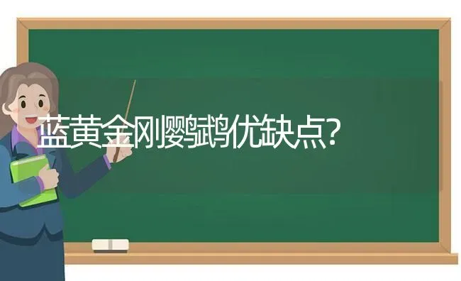 蓝黄金刚鹦鹉优缺点？ | 动物养殖问答