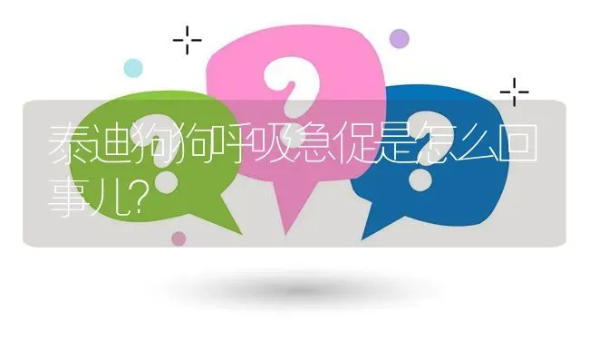 泰迪狗狗呼吸急促是怎么回事儿？ | 动物养殖问答