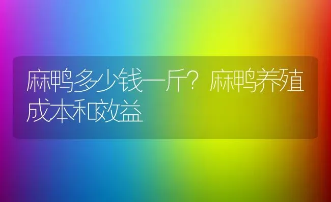 麻鸭多少钱一斤？麻鸭养殖成本和效益 | 动物养殖百科