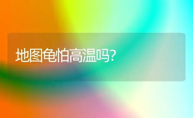 狗为什么会对主人那么忠诚？ | 动物养殖问答