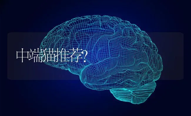 莱州红与杜宾犬有区别吗？ | 动物养殖问答