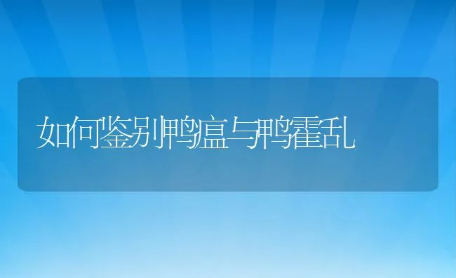 罗非鱼苗种长途运输案例 | 海水养殖技术