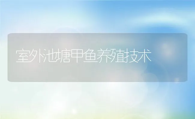 室外池塘甲鱼养殖技术 | 动物养殖饲料