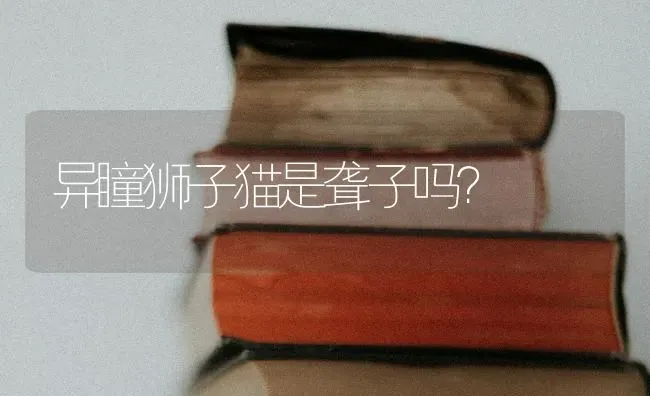 异瞳狮子猫是聋子吗？ | 动物养殖问答