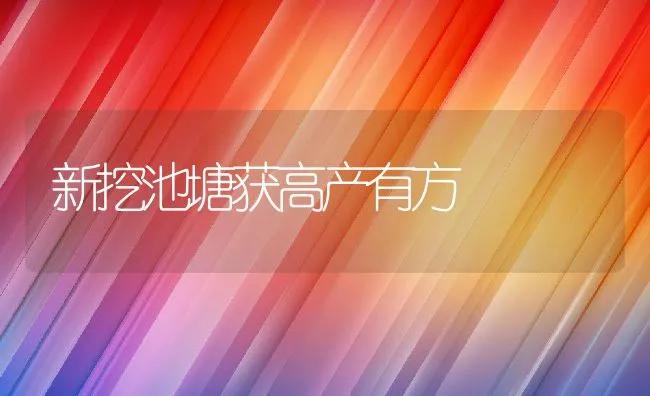 养猪场设备分类详情及购买注意事项 | 动物养殖饲料