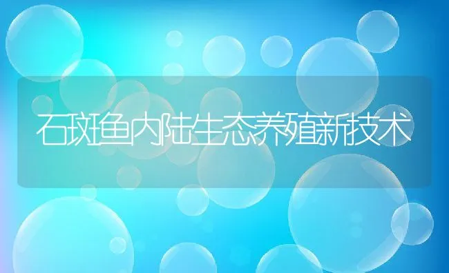 石斑鱼内陆生态养殖新技术 | 动物养殖饲料