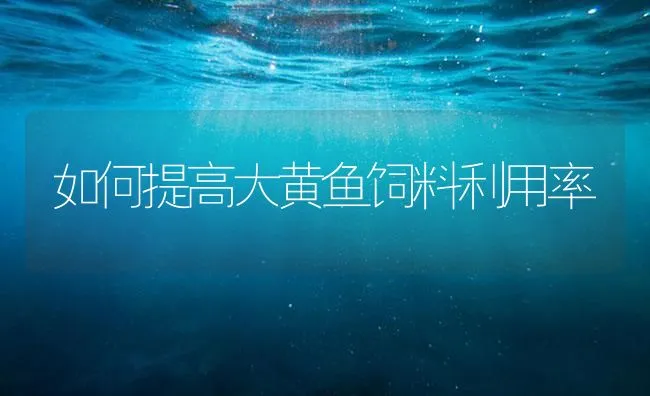 春季常见鱼病的发生及防治技术 | 海水养殖技术