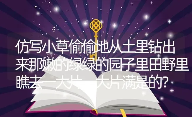 仿写小草偷偷地从土里钻出来那嫩的绿绿的园子里田野里瞧去一大片一大片满是的？ | 鱼类宠物饲养