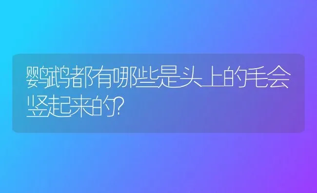 鹦鹉都有哪些是头上的毛会竖起来的？ | 动物养殖问答