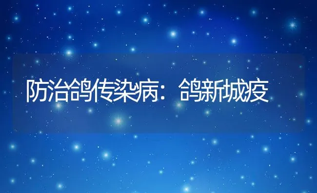 防治鸽传染病：鸽新城疫 | 水产养殖知识