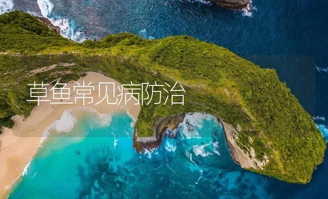 草鱼常见病防治 | 海水养殖技术