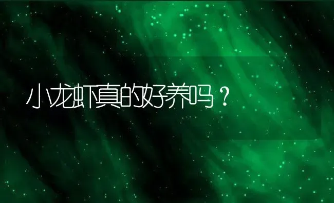 小龙虾真的好养吗？ | 动物养殖百科