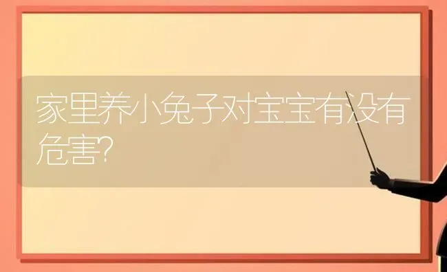 家里养小兔子对宝宝有没有危害？ | 动物养殖问答