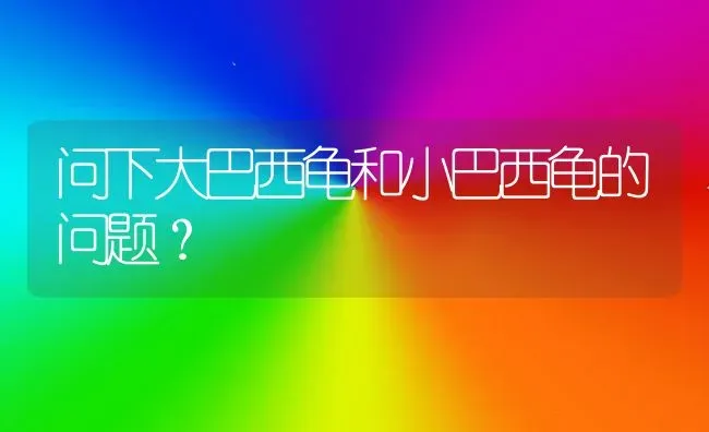 问下大巴西龟和小巴西龟的问题？ | 动物养殖问答