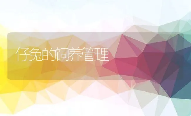 仔兔的饲养管理 | 动物养殖学堂