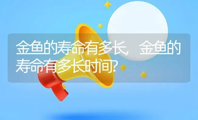 金鱼的寿命有多长,金鱼的寿命有多长时间? | 宠物百科知识