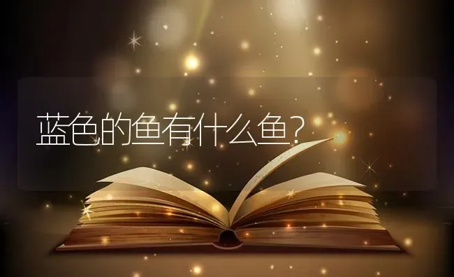 蓝色的鱼有什么鱼？ | 鱼类宠物饲养