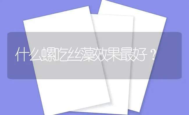 什么螺吃丝藻效果最好？ | 鱼类宠物饲养