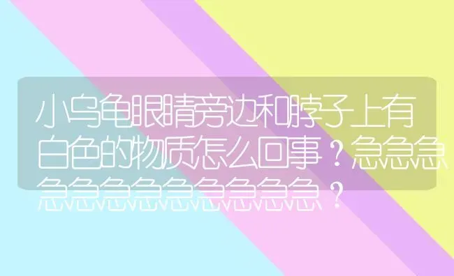 金毛狗跟别人比和主人亲什么原因?见到我尾巴只是摇摇，见到不认识的人尾巴摇的很厉害，请知道原因的帮帮我？ | 动物养殖问答