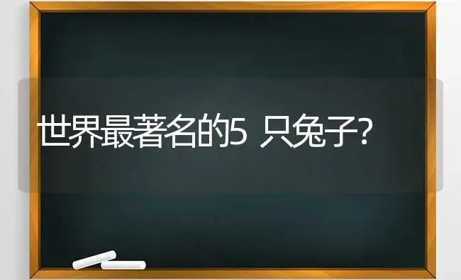 世界最著名的5只兔子？ | 动物养殖问答