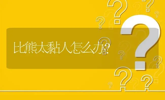 比熊太黏人怎么办？ | 动物养殖问答