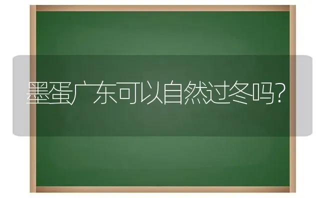 墨蛋广东可以自然过冬吗？ | 动物养殖问答