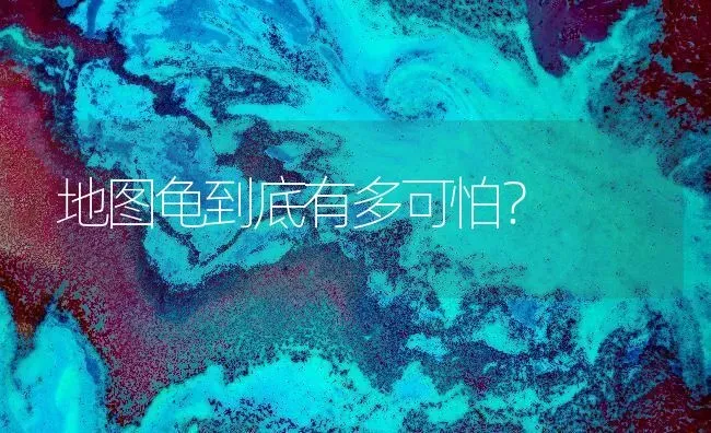 地图龟到底有多可怕？ | 动物养殖问答